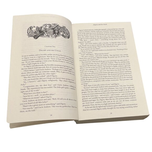 The Chronicles Of Narnia Book Cover Poster "The Original Novels By C.S. Lewis" W - Picture 6 of 7